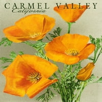 Carmel Valley, Калифорния, макови цветя